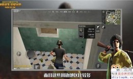 吃鸡新爆料最新视频下载,最新视频下载解析，带你领略游戏新风采