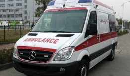 廊坊救护车爆料事件视频,真相与争议交织的紧急时刻